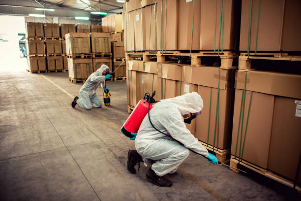 Best Pest Prevention Services  in Slaughterville, OK