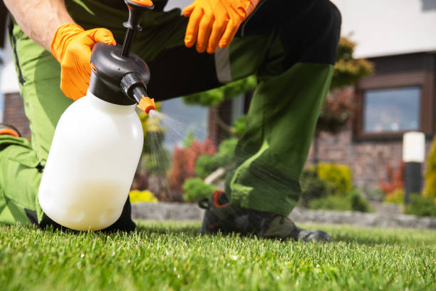 Reliable Slaughterville, OK Pest Control Solutions