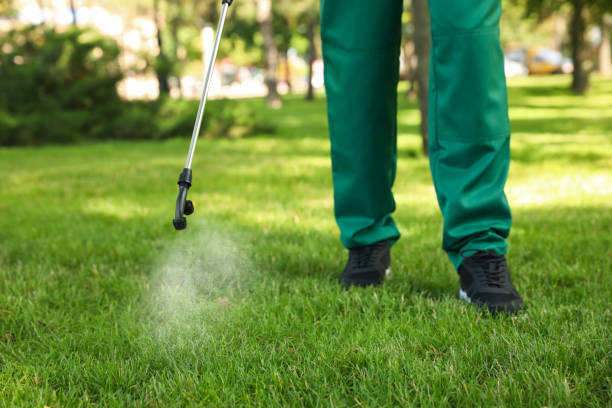 Best Local Pest Control Services  in Slaughterville, OK