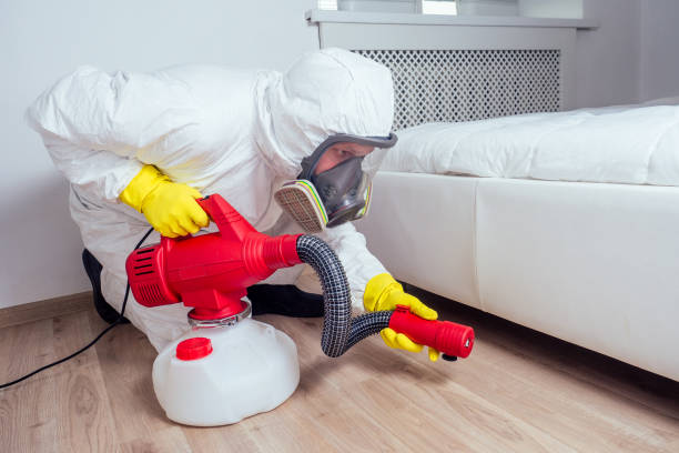 Best Wasp Removal Services  in Slaughterville, OK