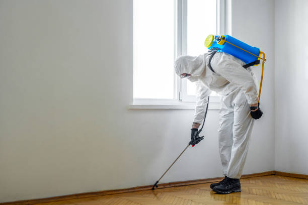 Best Rat Extermination Near Me  in Slaughterville, OK