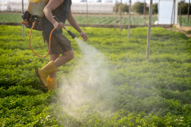 Best Ant Control Services  in Slaughterville, OK