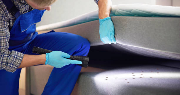 Best Pest Control Treatment  in Slaughterville, OK