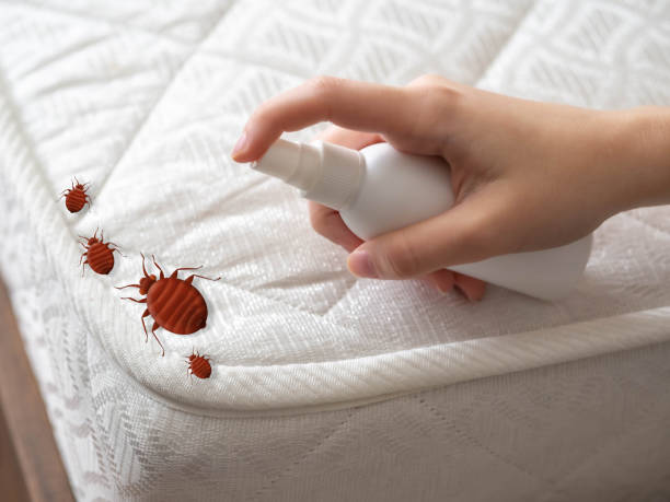 Best Residential Pest Control  in Slaughterville, OK