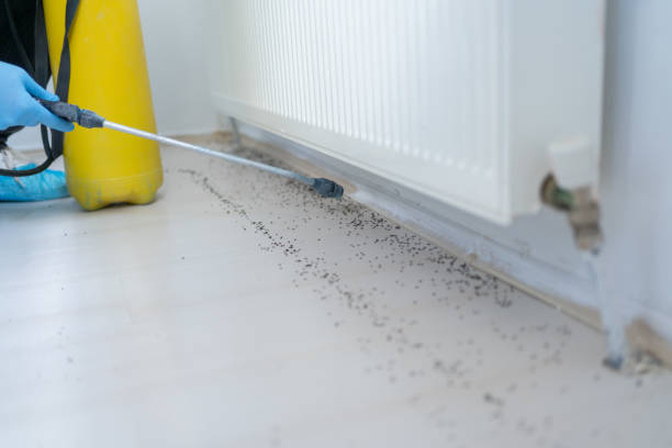 Best Bed Bug Extermination  in Slaughterville, OK