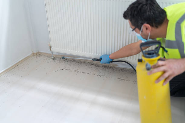 Best Exterminator Services  in Slaughterville, OK