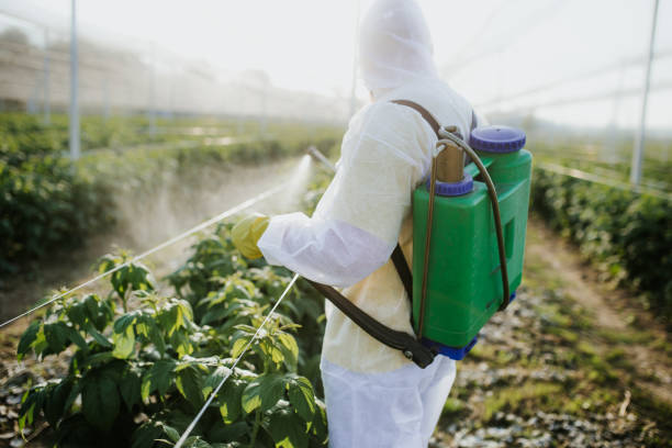 Best Pest Control Treatment  in Slaughterville, OK